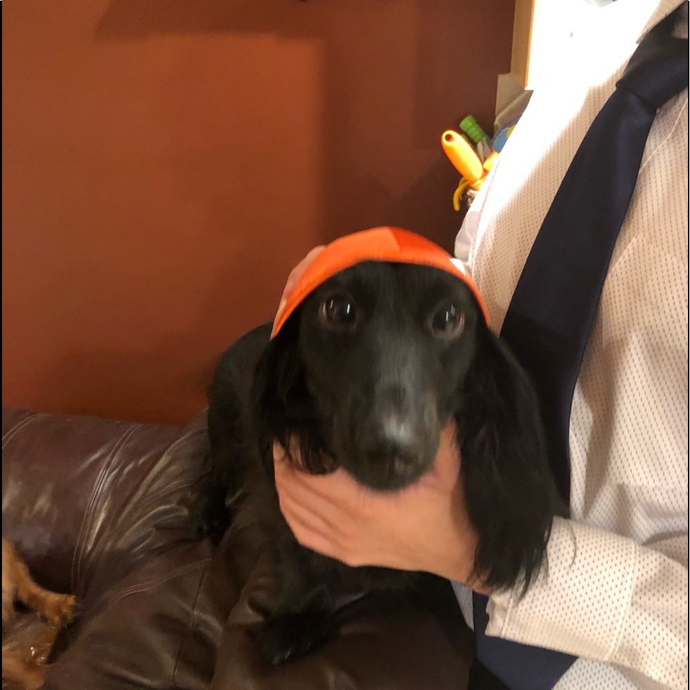 Meet your Posher, Barbara